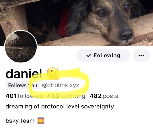 custom domain name handle @dholms.xyz